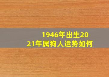 1946年出生2021年属狗人运势如何