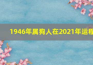 1946年属狗人在2021年运程