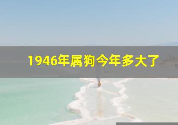 1946年属狗今年多大了