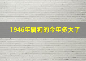 1946年属狗的今年多大了