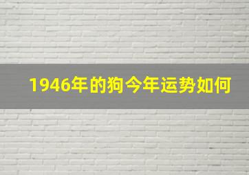 1946年的狗今年运势如何