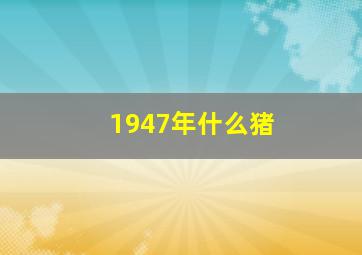 1947年什么猪