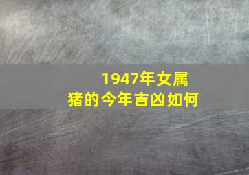 1947年女属猪的今年吉凶如何