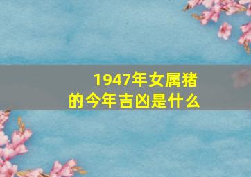 1947年女属猪的今年吉凶是什么