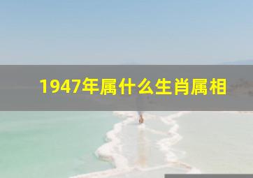 1947年属什么生肖属相