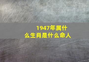 1947年属什么生肖是什么命人