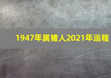 1947年属猪人2021年运程