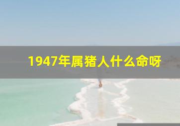 1947年属猪人什么命呀