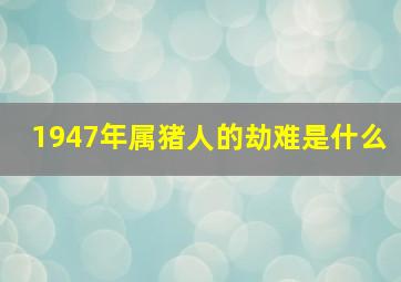 1947年属猪人的劫难是什么