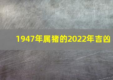 1947年属猪的2022年吉凶