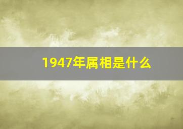 1947年属相是什么