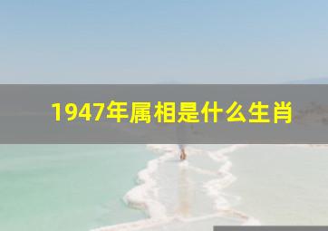 1947年属相是什么生肖