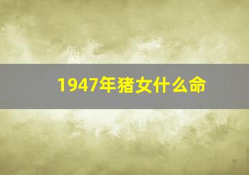 1947年猪女什么命