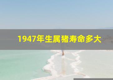 1947年生属猪寿命多大