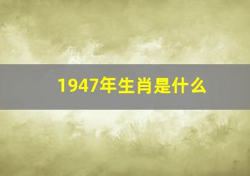 1947年生肖是什么