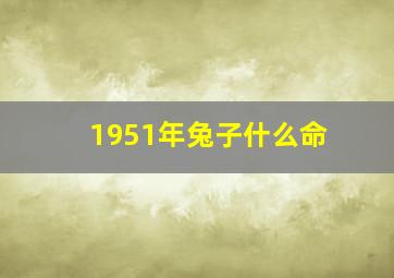 1951年兔子什么命