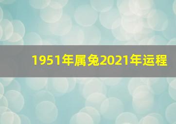 1951年属兔2021年运程