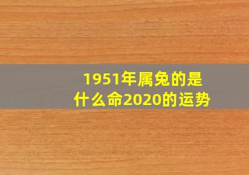 1951年属兔的是什么命2020的运势