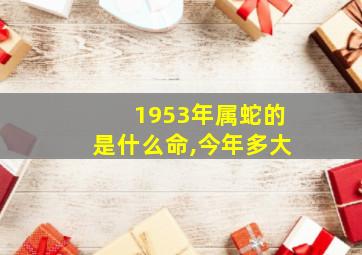 1953年属蛇的是什么命,今年多大