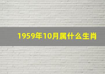 1959年10月属什么生肖