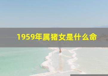 1959年属猪女是什么命