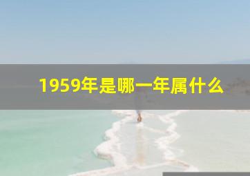 1959年是哪一年属什么