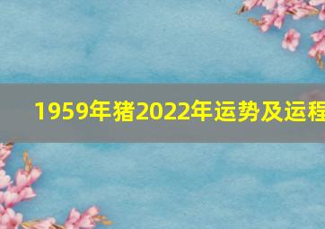 1959年猪2022年运势及运程