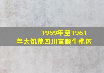 1959年至1961年大饥荒四川富顺牛佛区