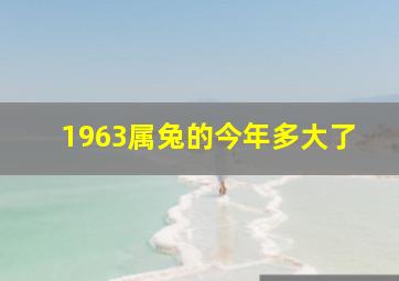 1963属兔的今年多大了