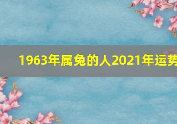 1963年属兔的人2021年运势