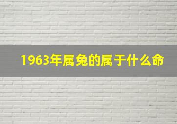 1963年属兔的属于什么命