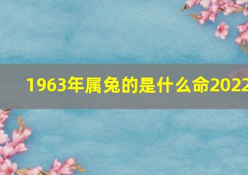 1963年属兔的是什么命2022