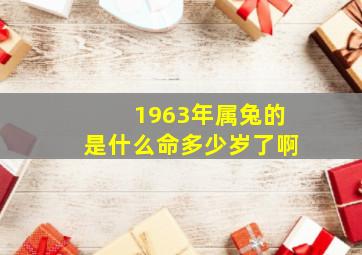 1963年属兔的是什么命多少岁了啊