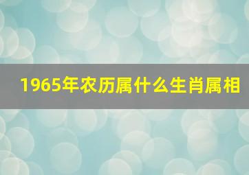 1965年农历属什么生肖属相