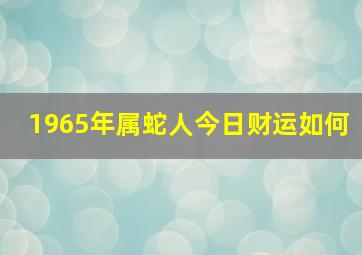 1965年属蛇人今日财运如何