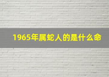 1965年属蛇人的是什么命