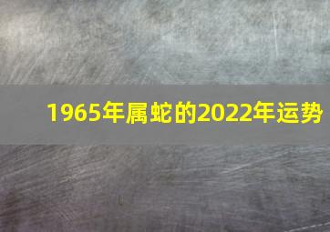 1965年属蛇的2022年运势