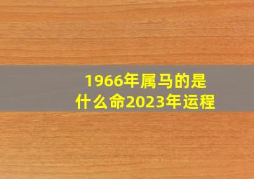 1966年属马的是什么命2023年运程