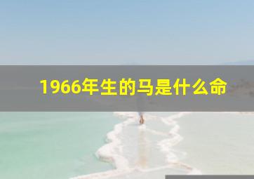 1966年生的马是什么命