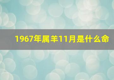 1967年属羊11月是什么命