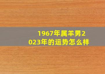 1967年属羊男2023年的运势怎么样