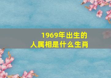 1969年出生的人属相是什么生肖