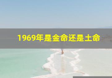 1969年是金命还是土命