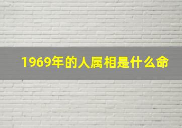 1969年的人属相是什么命