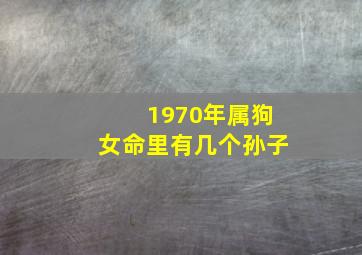 1970年属狗女命里有几个孙子