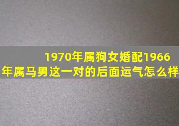 1970年属狗女婚配1966年属马男这一对的后面运气怎么样