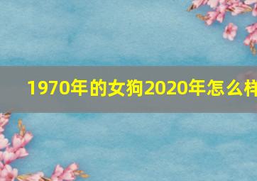 1970年的女狗2020年怎么样