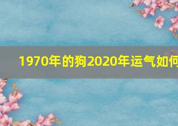 1970年的狗2020年运气如何