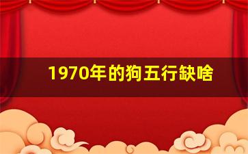 1970年的狗五行缺啥