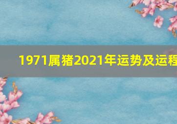 1971属猪2021年运势及运程